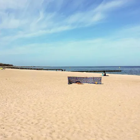 Cozy In With Wifi Appartement *